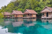 July 2025<br /><i>Photo courtesy Avinsea Homestay</i>