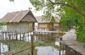 Avinsea Homestay, Pulau Gam, Raja Ampat