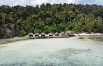 Junior Homestay, Pulau Kri, Raja Ampat