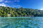 Junior Homestay, Pulau Kri, Raja Ampat, October 2025<br /><i>Photo courtesy Junior Homestay</i>