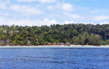 Junior Homestay, Pulau Kri, Raja Ampat