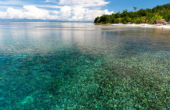 Sawedi Homestay, Sauwandarek, Pulau Mansuar, Raja Ampat