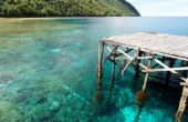 Sauwandarek jetty views