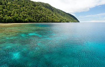 Sawedi Homestay, Sauwandarek, Pulau Mansuar, Raja Ampat