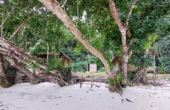 Yenwar Homestay, Pulau Gam, Raja Ampat