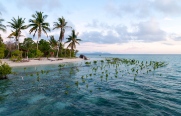 Worisun Homestay, Pulau Arborek, Raja Ampat