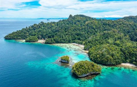 Wobbegong Homestay, Pulau Gam, Raja Ampat
