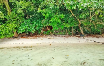 Kafdarun Homestay, Pulau Birie, Batanta, Raja Ampat