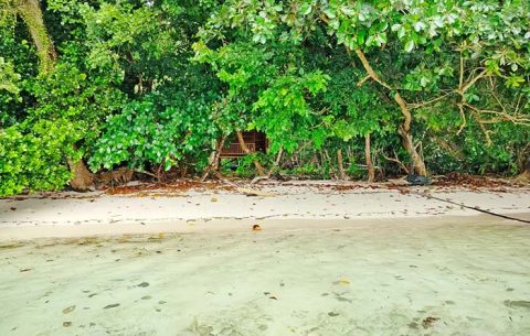 Kafdarun Homestay, Pulau Birie, Batanta, Raja Ampat