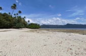 Low tide, April 2025<br /><i>Photo: Yusril Munawir/PERJAMPAT</i>