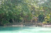 Raja 4 Nature Lodge, January 2025<br /><i>Photo: Yusril Munawir/PERJAMPAT</i>