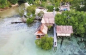 Sea Whip Homestay, March 2025<br /><i>Photo courtesy Sea Whip Homestay</i>