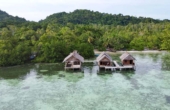 March 2025<br /><i>Photo courtesy Senja Homestay</i>