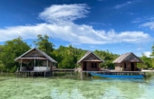 March 2025<br /><i>Photo courtesy Senja Homestay</i>