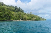 Tanjung Karang Homestay, Batanta, February 2025<br /><i>Photo: Yusril Munawir/PERJAMPAT</i>