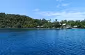 Sariani Homestay, Yennyar, Batanta, Raja Ampat