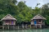 Sariani Homestay, Yennyar, Batanta, Raja Ampat